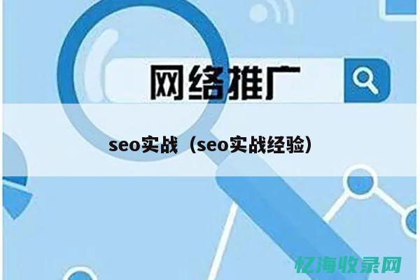 seo实战指导