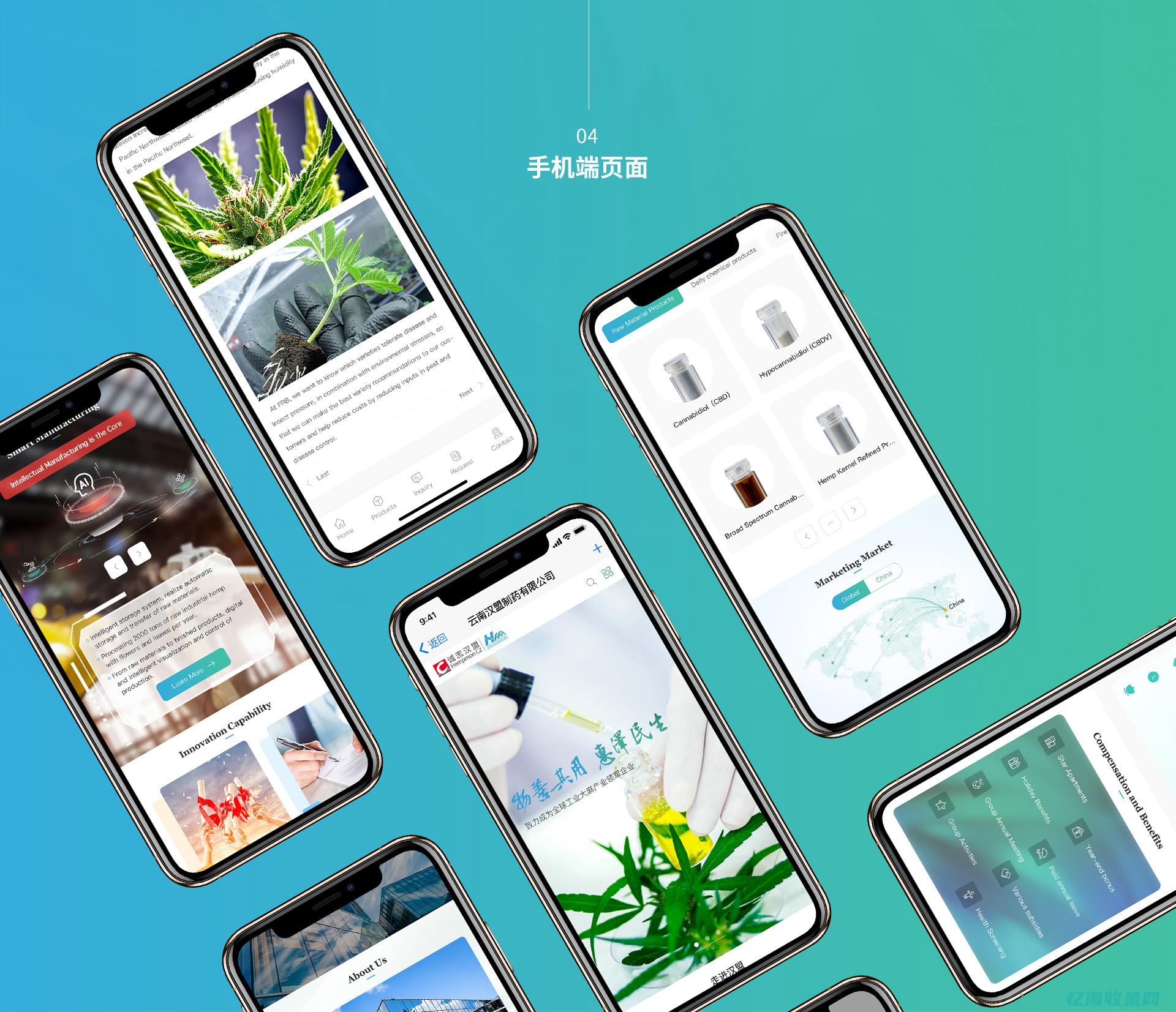 昆明网站制作的教程