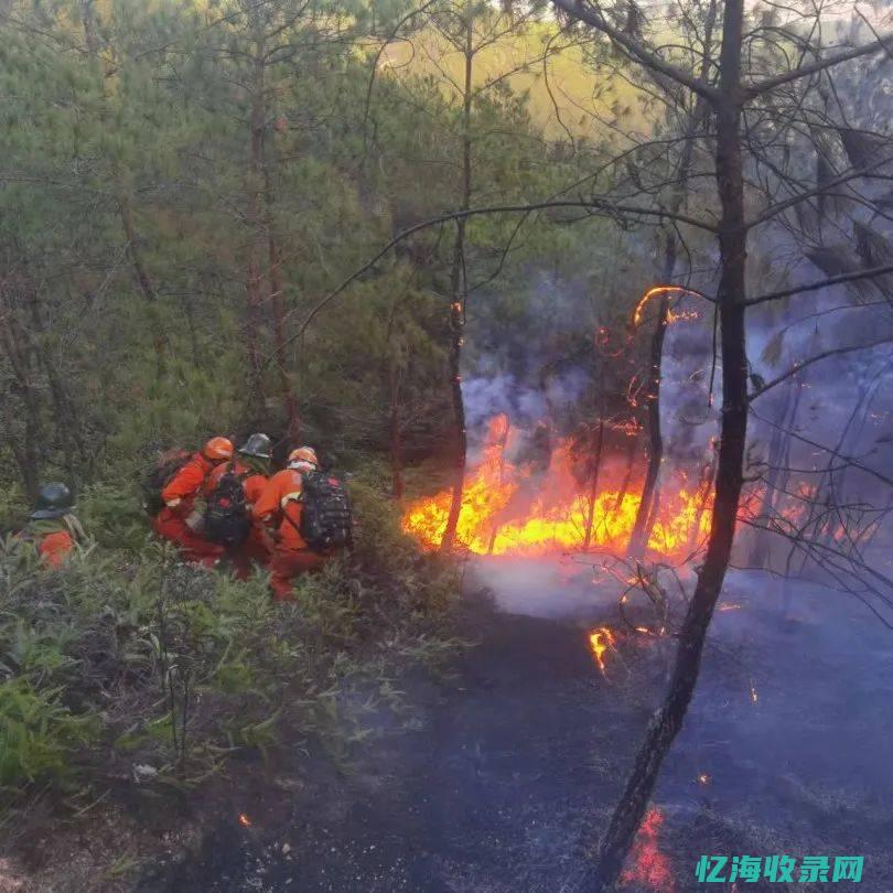 韩城森林火灾 (韩城森林火灾最新消息)