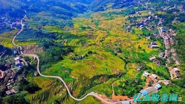 阆中森林覆盖情况