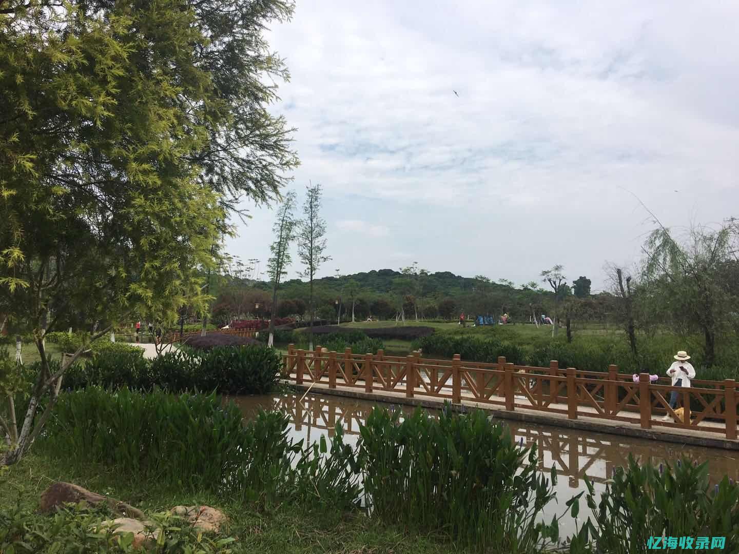 新塘森林海水上乐园怎么去