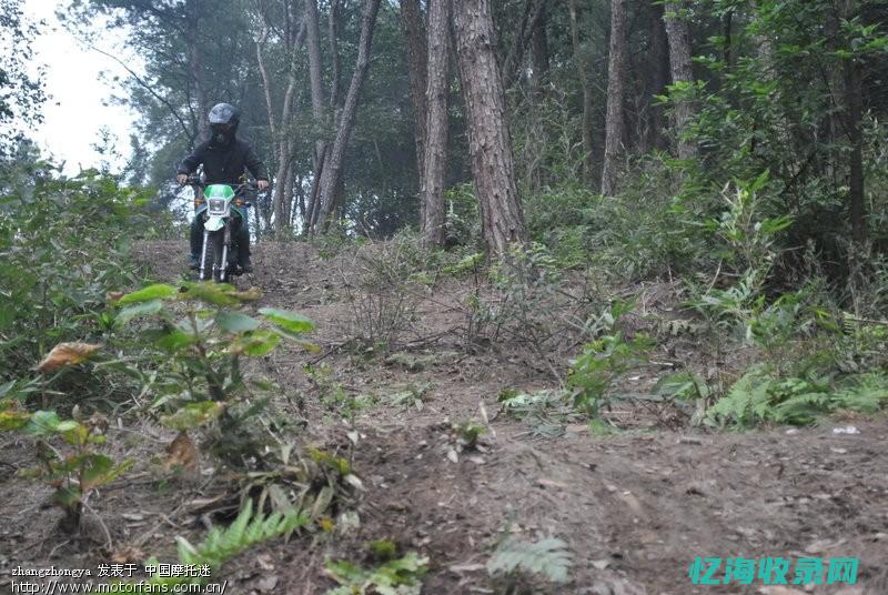 荣昌森林公园开放时间