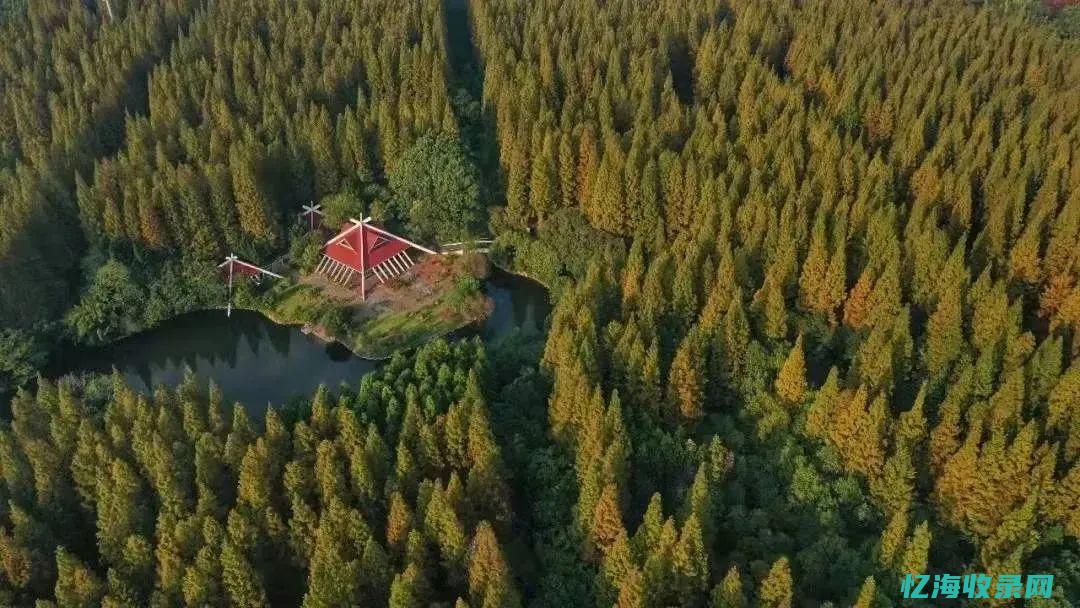 广平森林公园开放时间 (广平林场在哪个位置)