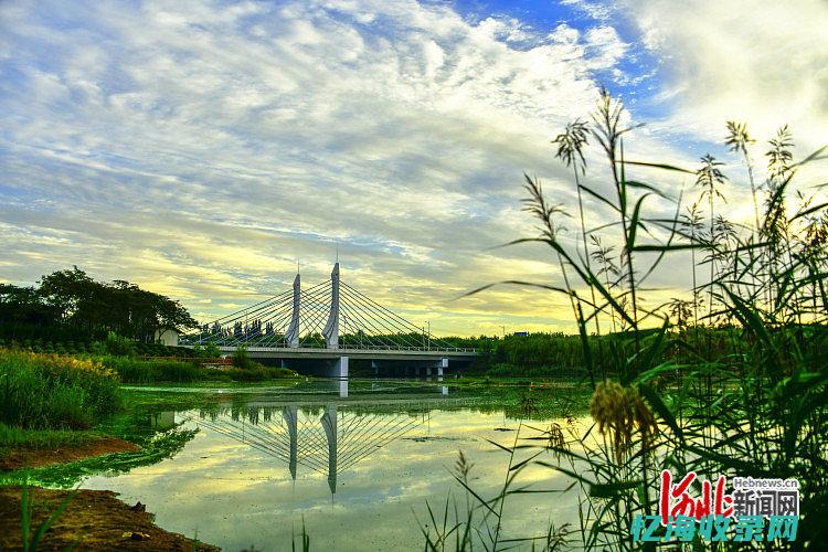 广平森林公圆 (广平林场)