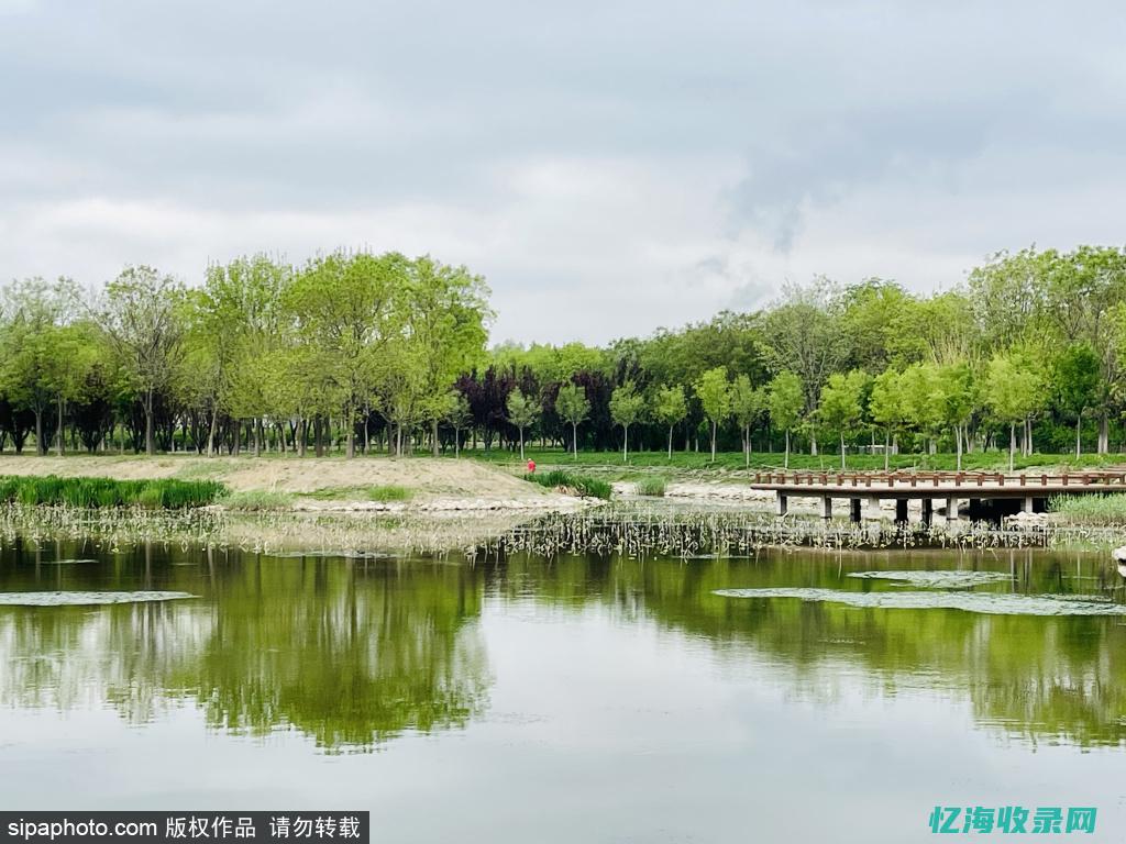 广平森林公园 (广平森林公园开放时间)