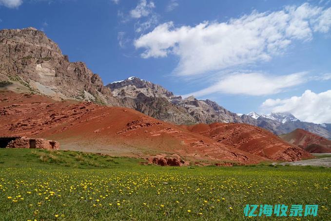 玉树森成行什么意思 (玉树森森)