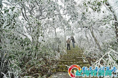 玉树森林公园门票