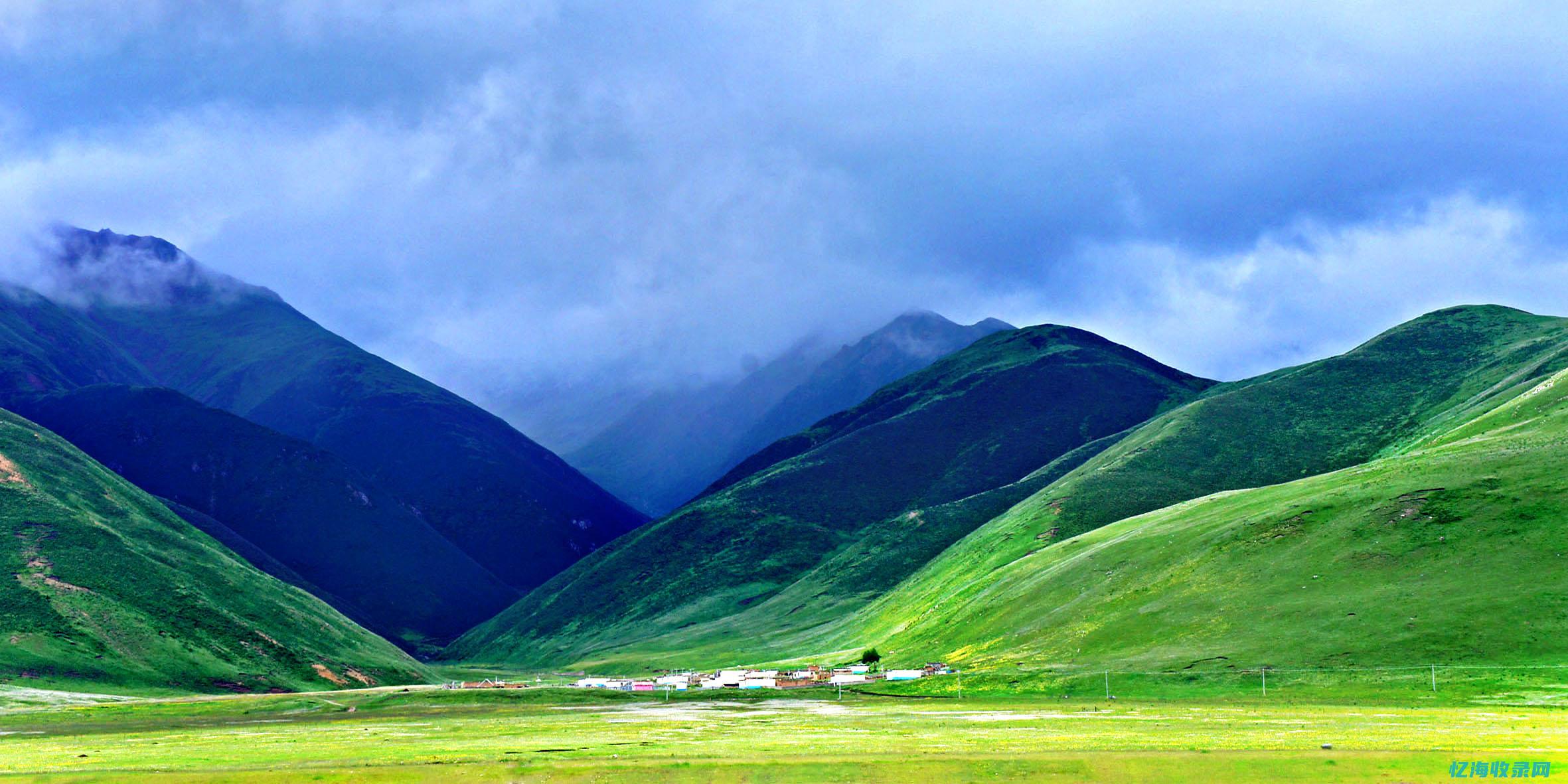 玉树森林公园 (玉树森林公园门票)