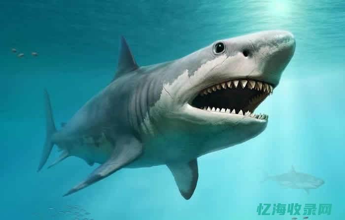 我要看巴齿巨人的图片