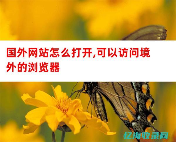 西安seo顾问公司