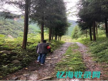 怎样做好森林防火措施 (怎样做好森林防火建议)