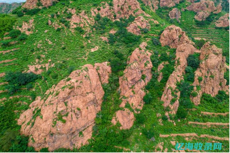 赤峰百度贴吧 (赤峰百度贴吧招聘)