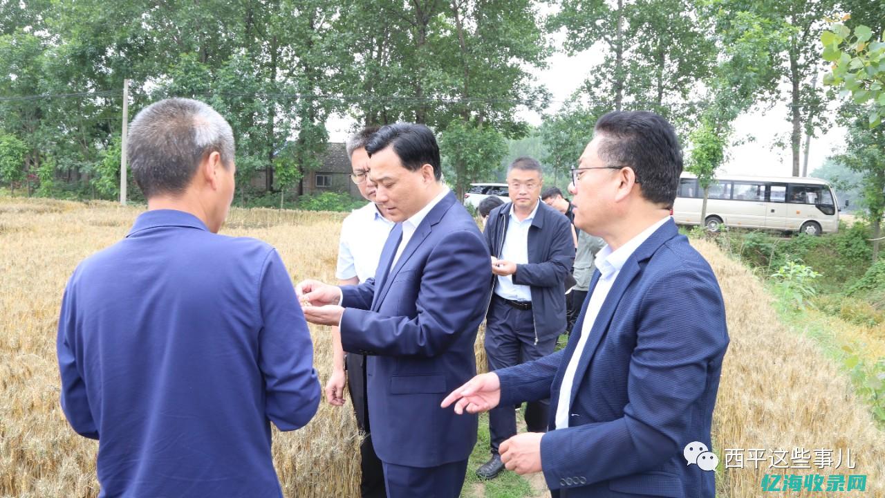 河南优化三夏小麦跨区机收运输服务 (河南省一优三减及四化建设)