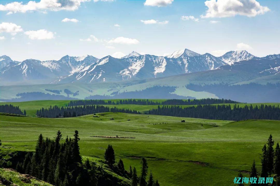 新疆知名网站 (新疆知名网站排名)