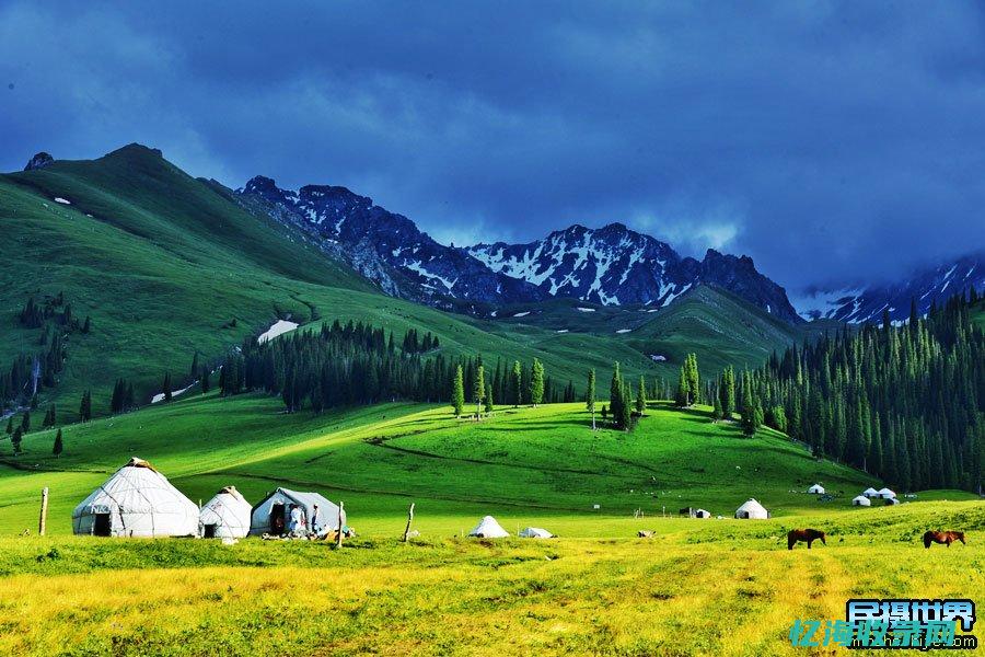 新疆知名网站排名