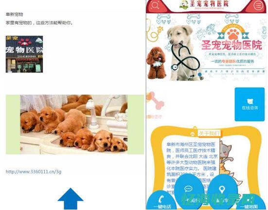 禁推行业 (行业禁业范围)