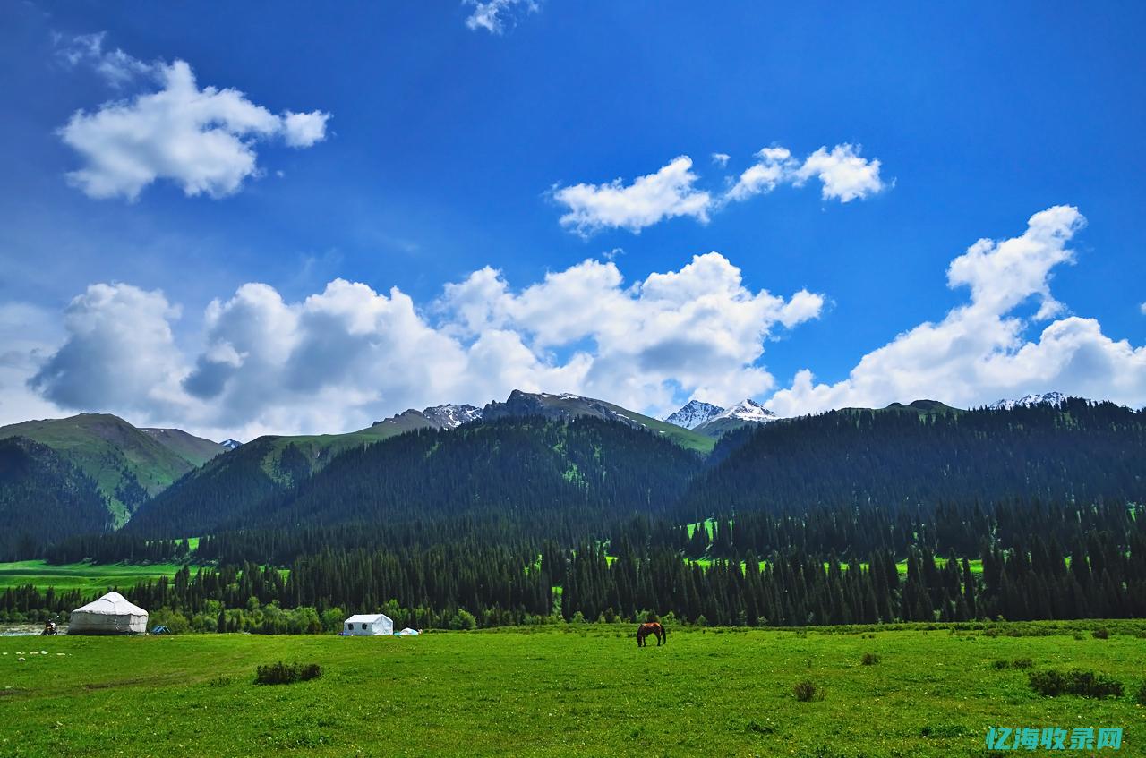 新疆知名网站有哪些