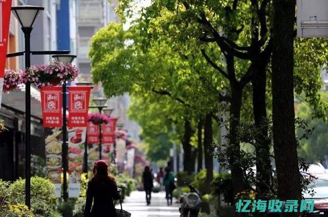 杨浦区seo快排优化十大排名