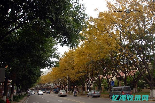 中山的森林公园 (中山市有哪些森林公园)