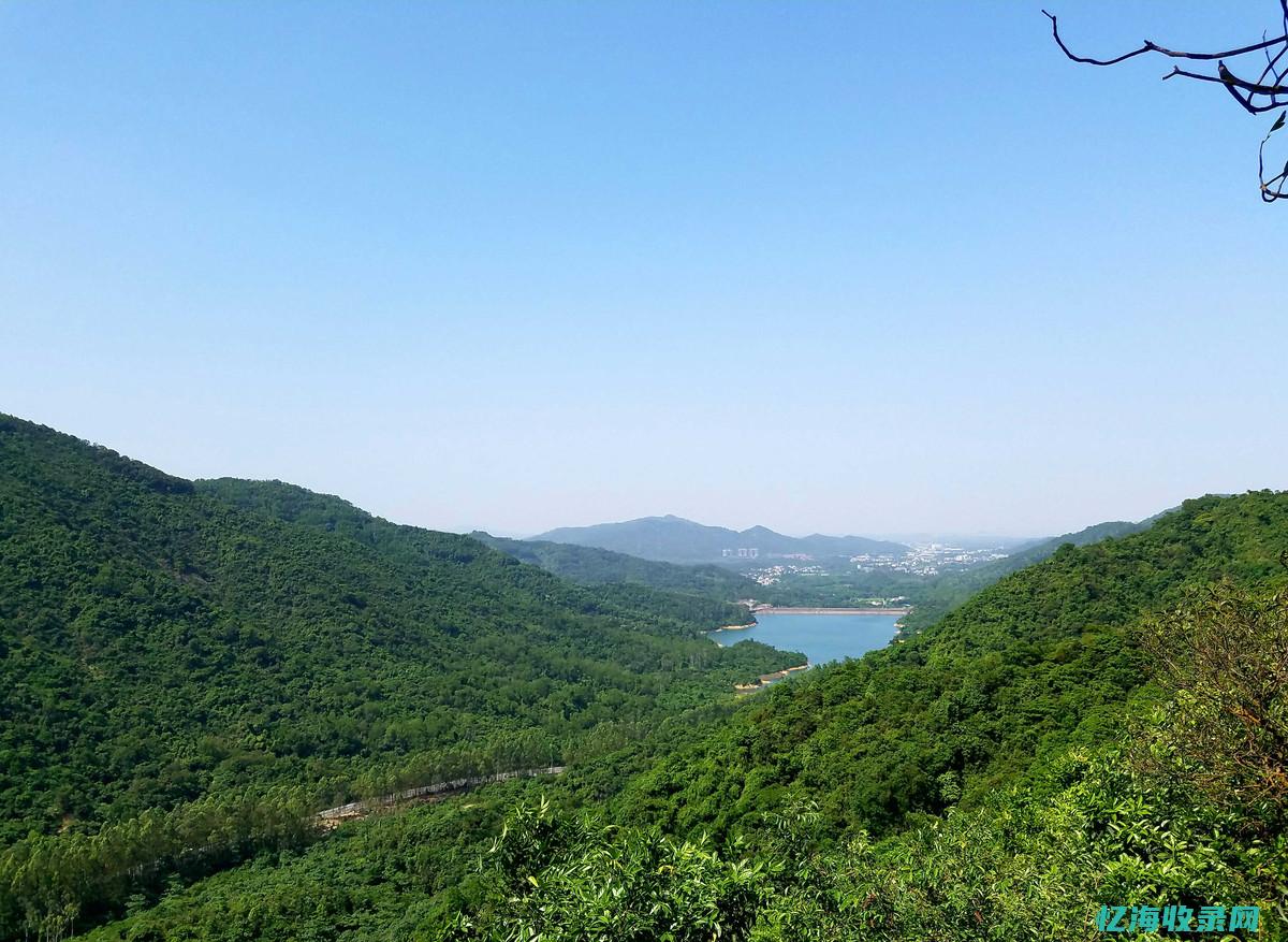 中山的森林公园