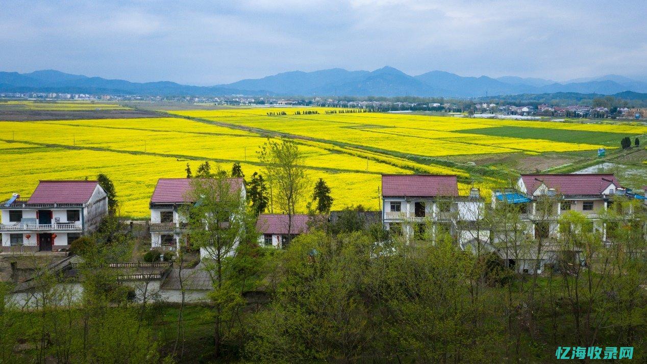 西乡网站建设 (西乡网站建设招标公告)