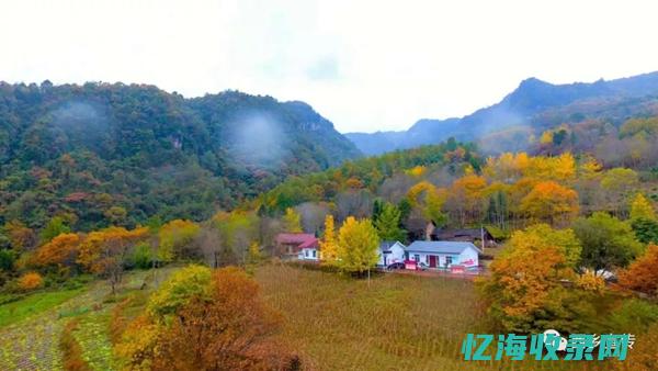 西乡网站开发招聘信息