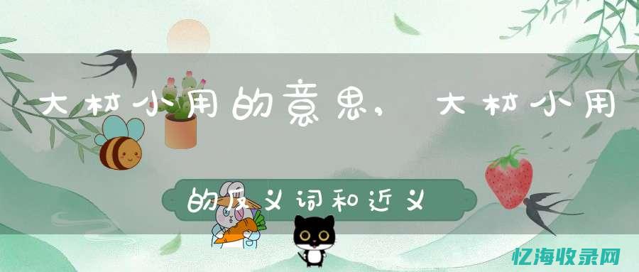 大词小用的例子100字