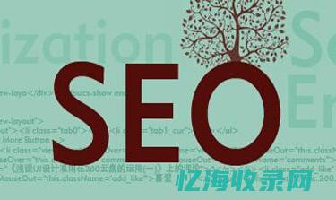 网站搭建是前端还是后端 (网站搭建前端和后端)