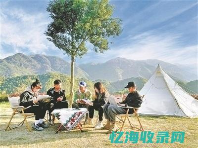 追梦森林 (追梦丛林是什么意思)