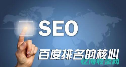 seo网站效果 (网站专业术语中seo的意思)