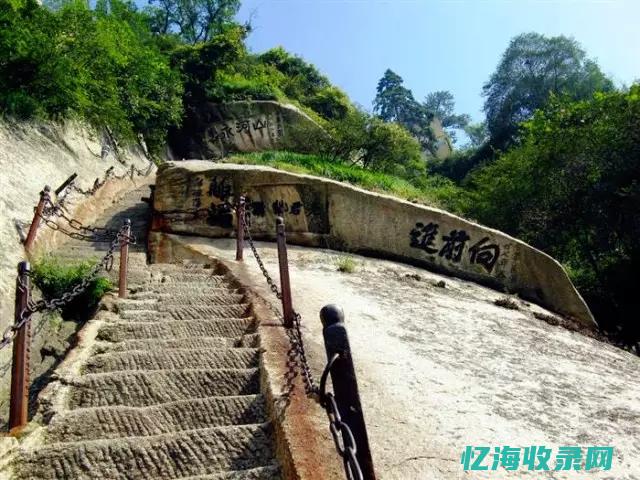 三秦森工中华蜂蜜 (三秦森工官网)