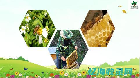 三秦森工 (三秦森工集团简介)