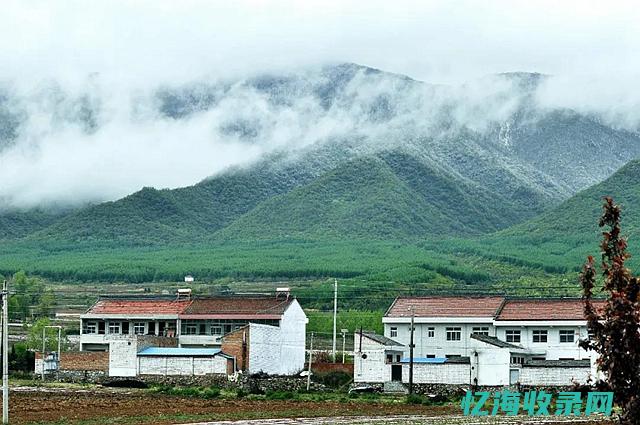 三秦森工集团简介