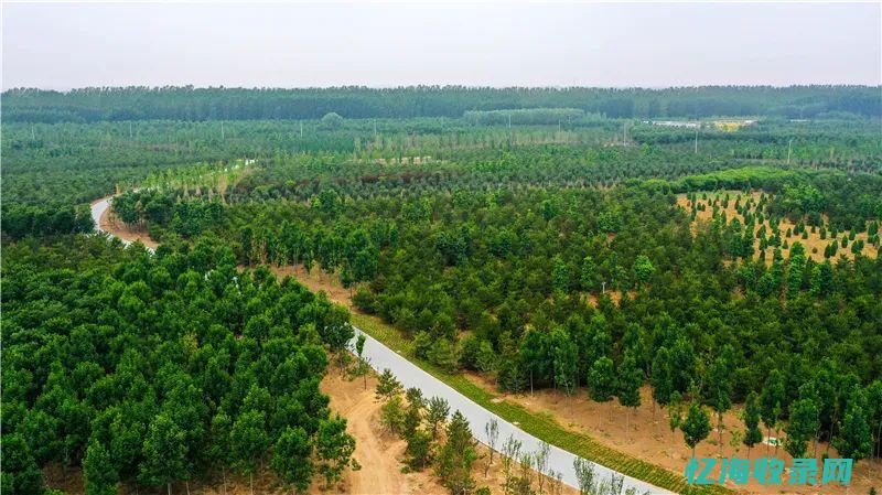 如何做好森林防火工作的建议 (如何进行森林资源的保护)