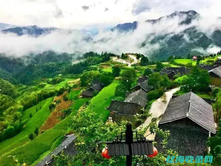 如何进行森林资源的保护