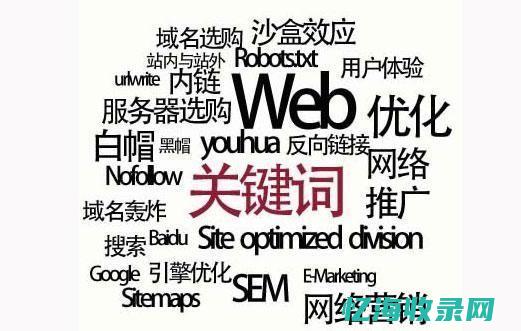 seo专业优化 (seo什么专业)