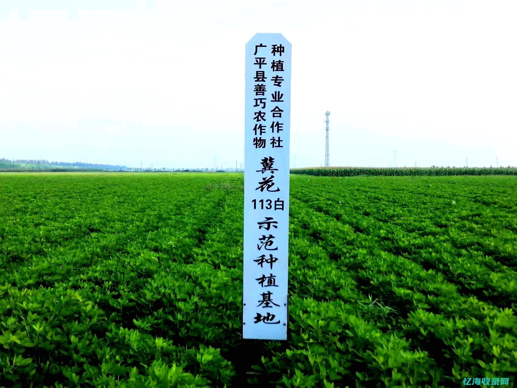 广平县附近景区