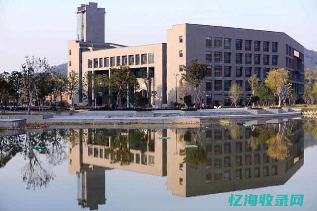 杭州专业seo外包