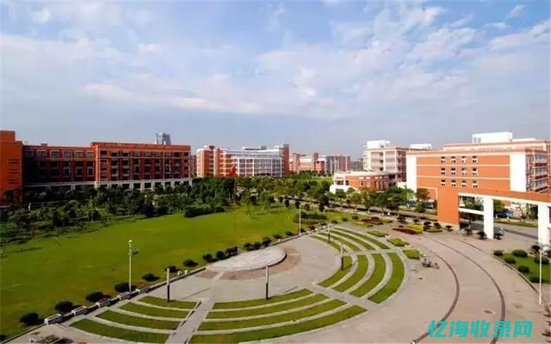 杭州专业seo排名 (杭州专业私家侦探)