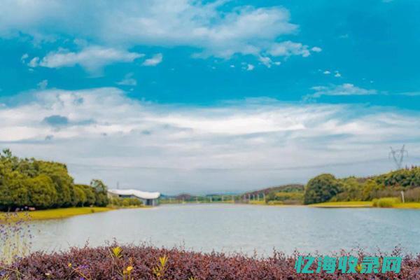 江门seo网站管理