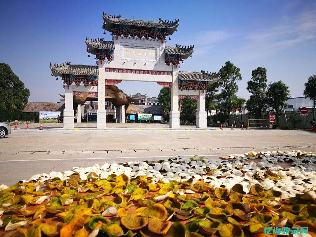 江门关键词搜索排名