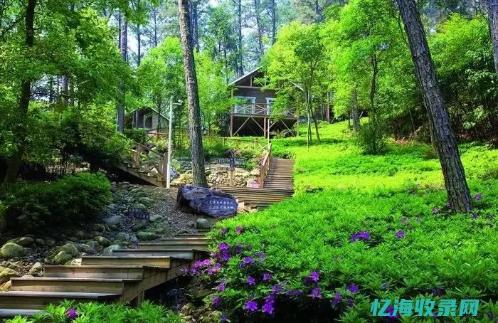 如何做好森林防火工作