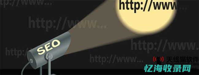 厦门seo网站 (厦门网站搜索排名)