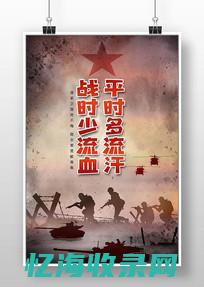 实战型演练包括