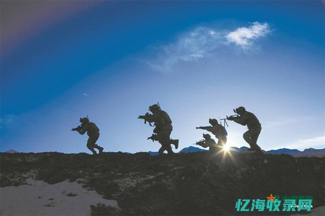 实战型演练包括