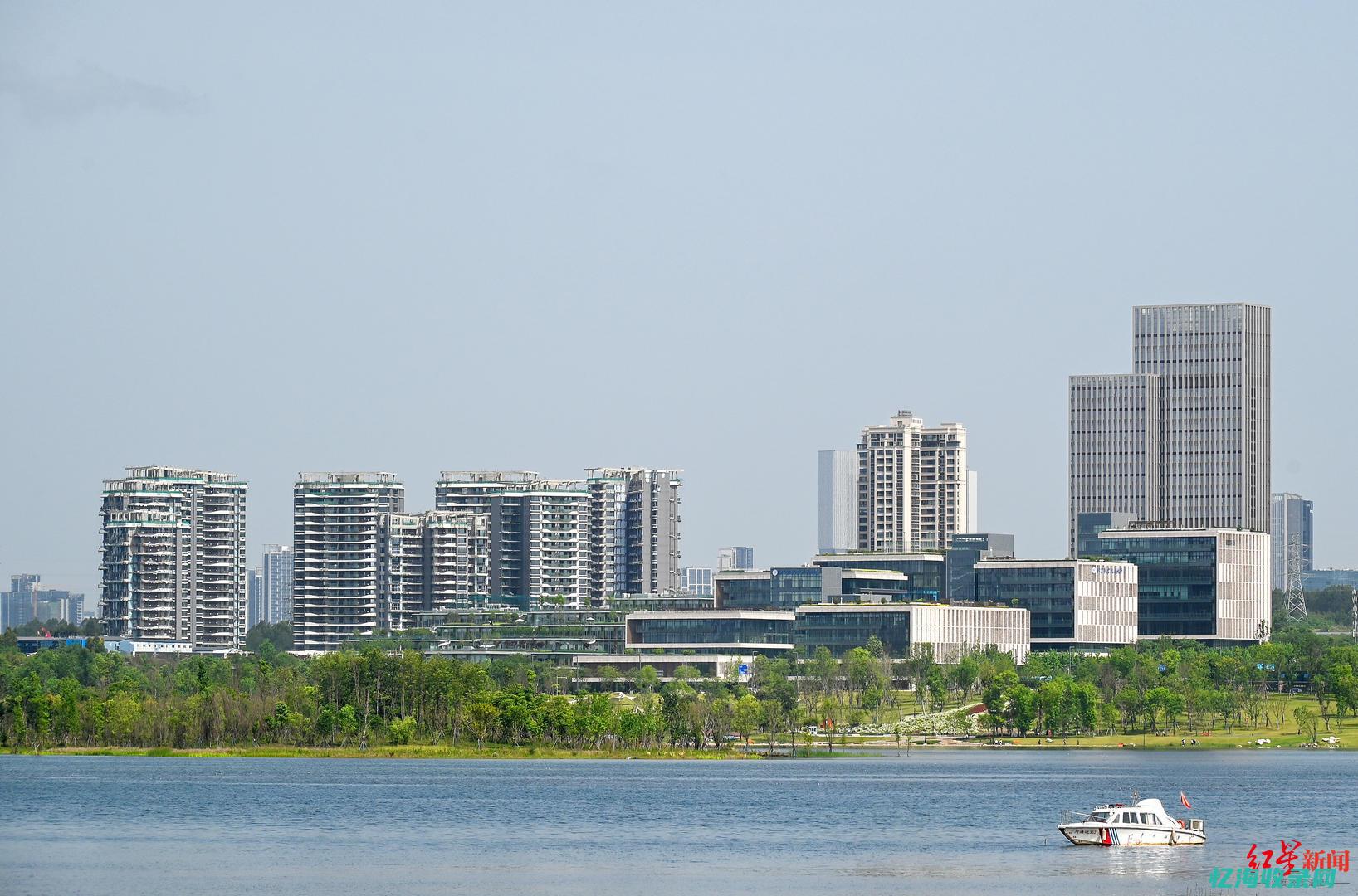 成都网站seo推广