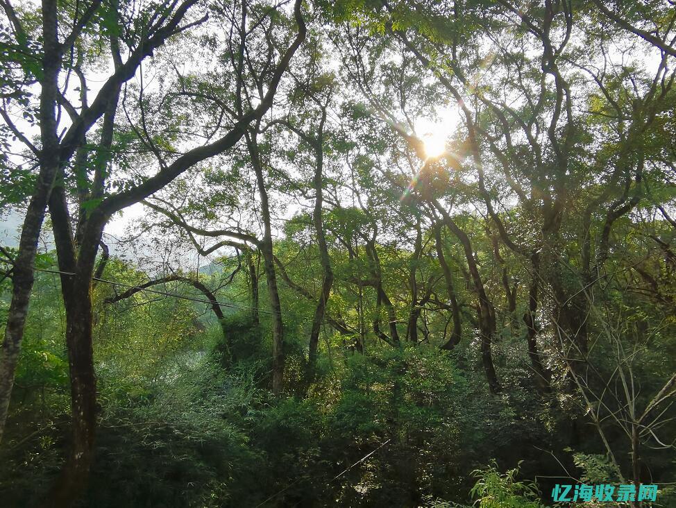 江西南昌森林消防器材生产厂家电话