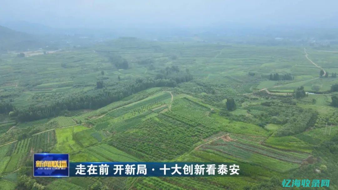 泰安优化关键词排名哪家合适