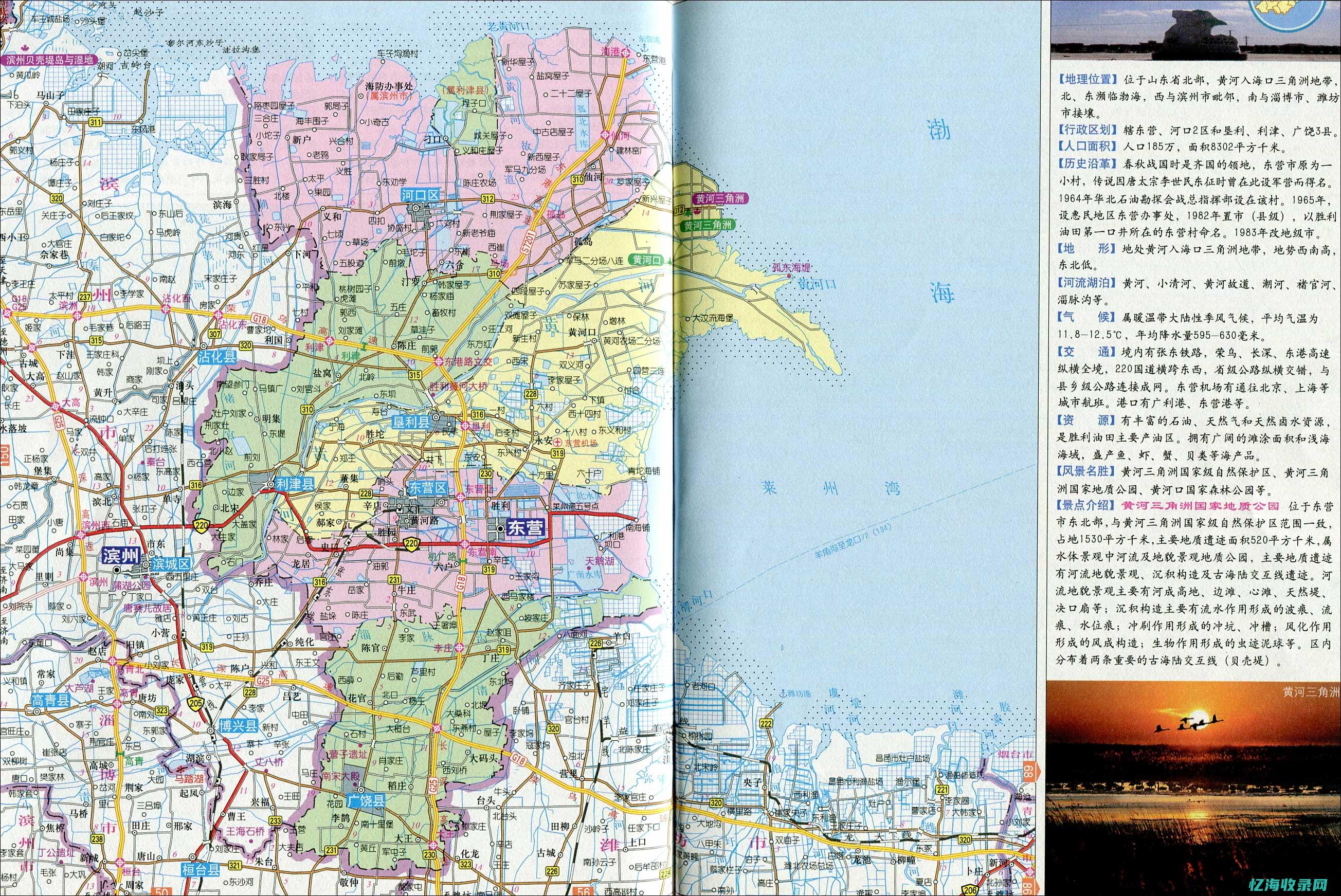 百度东营 (东营百度地图)