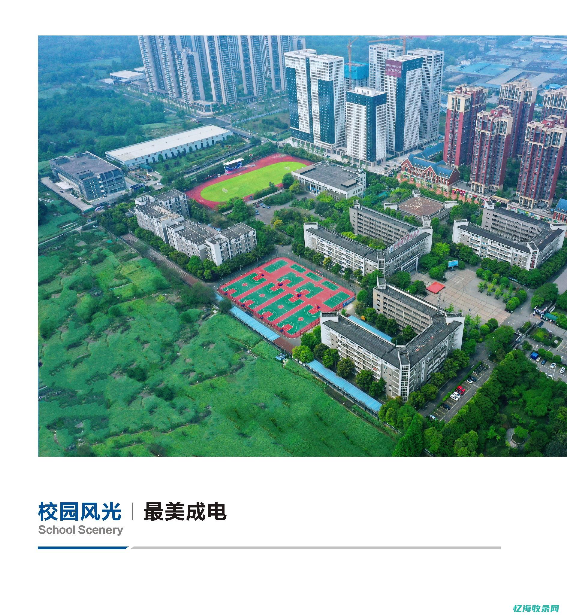 成都网络seo公司 (成都网络seo)